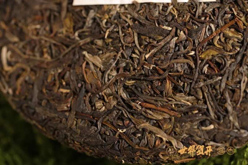 六大茶山极野 班章：感受过生命最原始的悸动吗