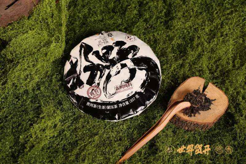 六大茶山极野 班章：感受过生命最原始的悸动吗