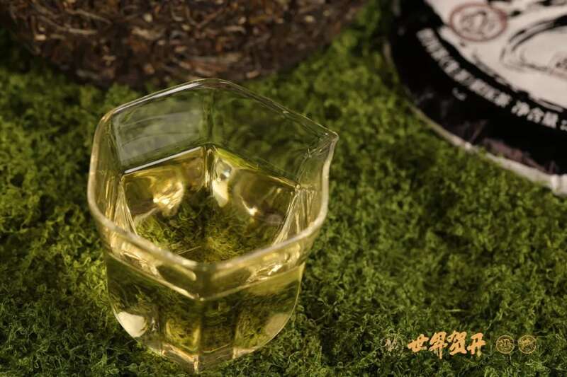 六大茶山极野 班章：感受过生命最原始的悸动吗