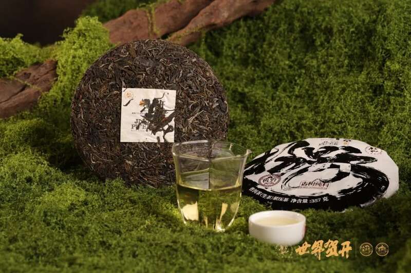 六大茶山极野 班章：感受过生命最原始的悸动吗