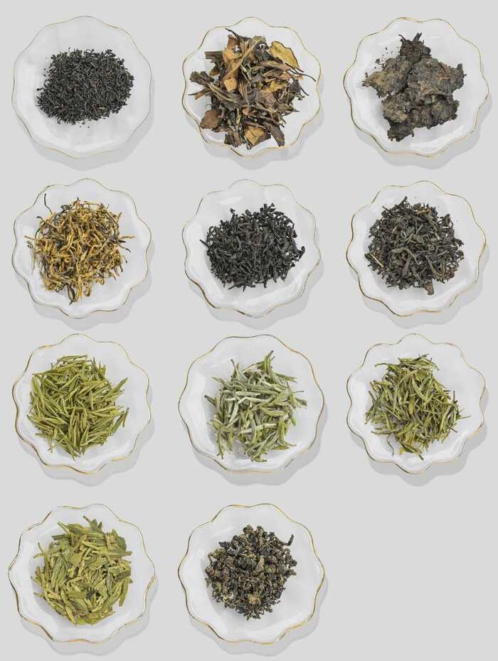 想挑到好茶，学会“望茶形”是第一关。