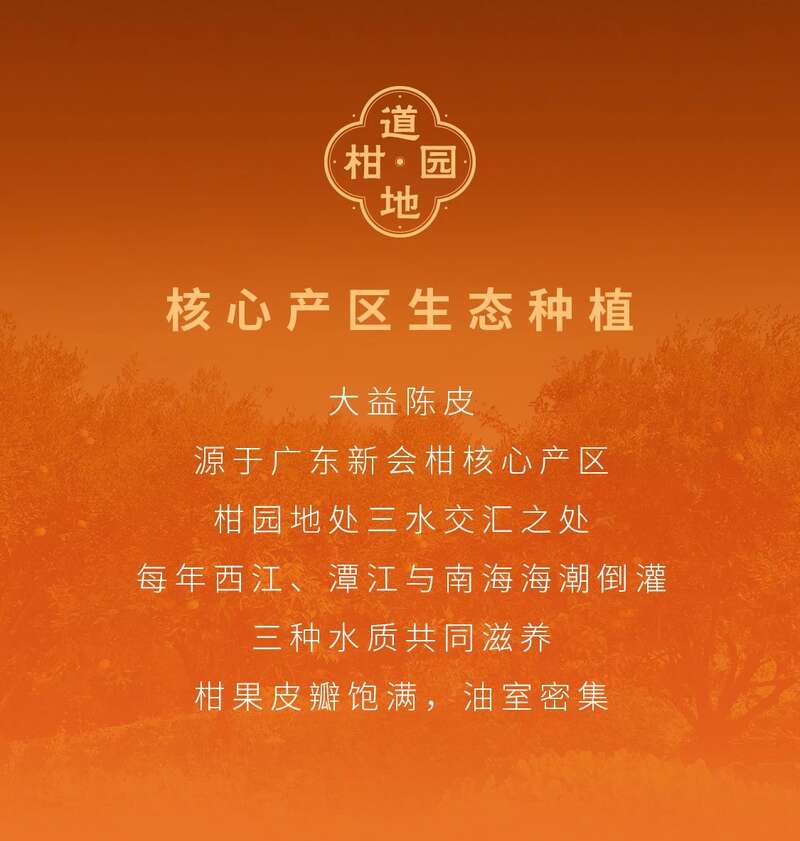 大益陈皮普洱吉庆茶礼上新