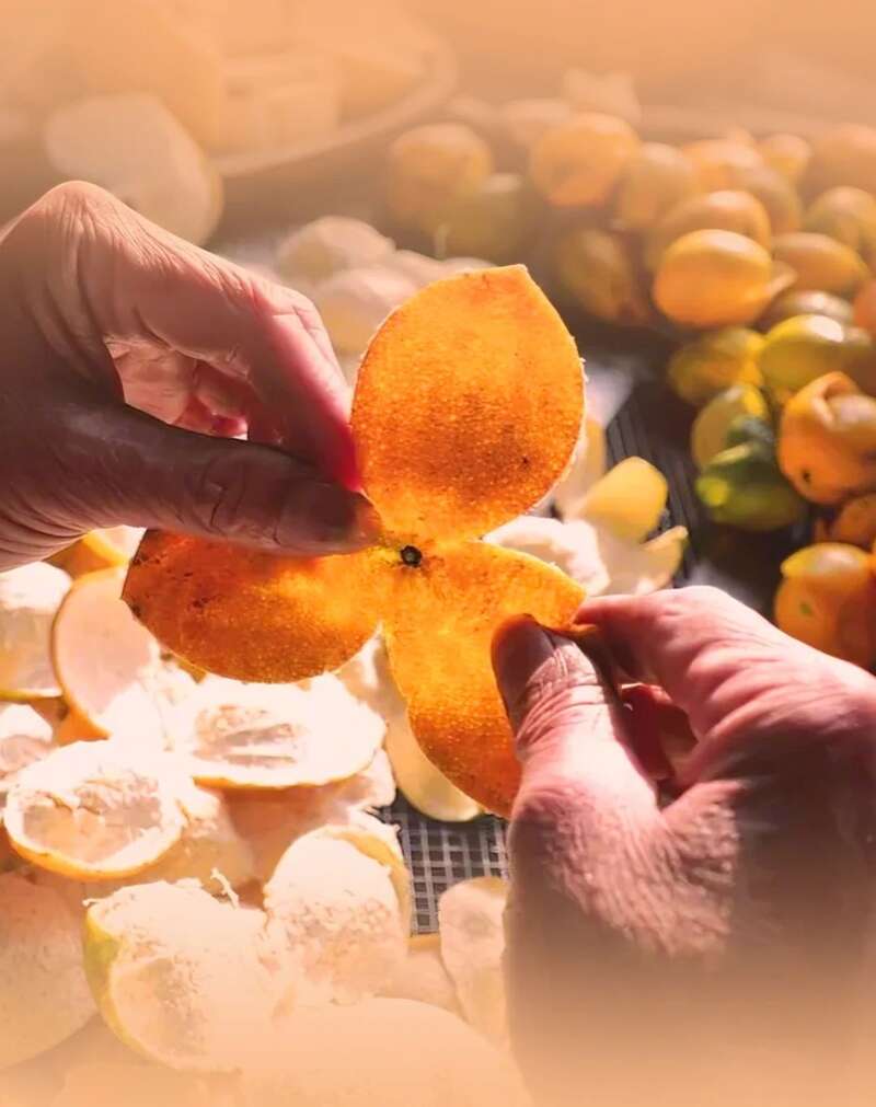 大益陈皮普洱吉庆茶礼上新