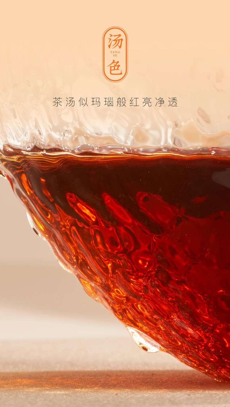 大益陈皮普洱吉庆茶礼上新
