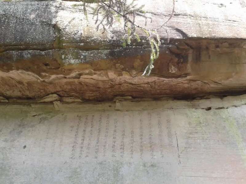 千年茶韵“巴山青”，引领达茶新篇章