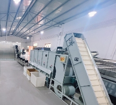 千年茶韵“巴山青”，引领达茶新篇章