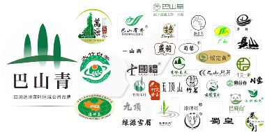 千年茶韵“巴山青”，引领达茶新篇章