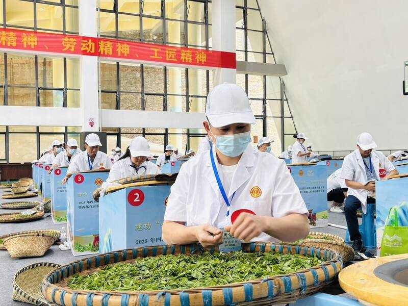 五省百余名茶行业参赛选手齐聚名山区同台竞技