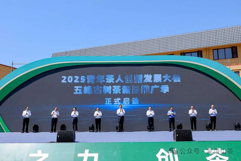 中国茶叶流通协会青年工作委员会成立 四川青年茶人张忆萍当选首届副秘书长