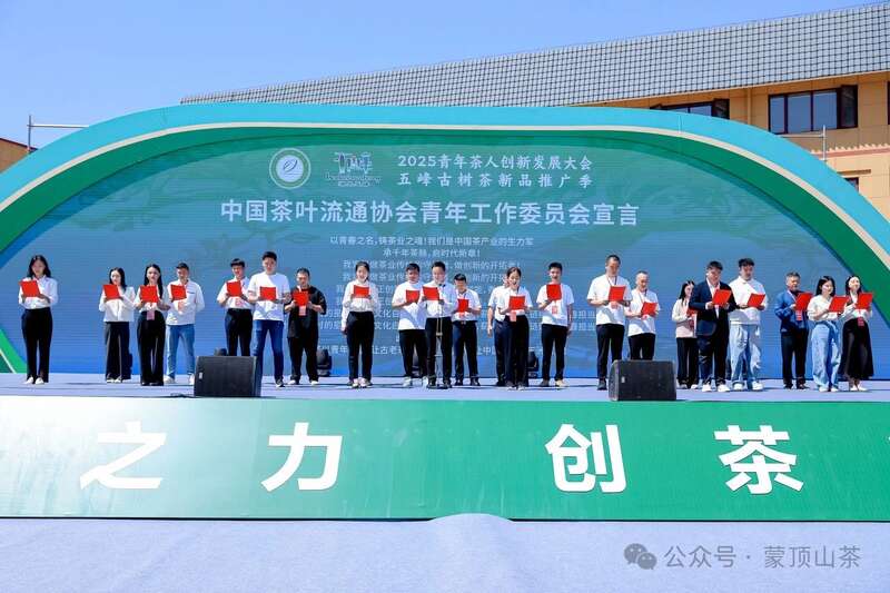 中国茶叶流通协会青年工作委员会成立 四川青年茶人张忆萍当选首届副秘书长