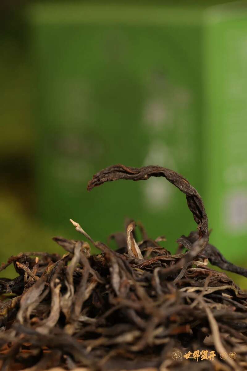 六大茶山头鲜 六寨：古树头鲜，香融六寨！