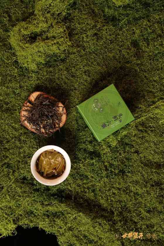 六大茶山头鲜 六寨：古树头鲜，香融六寨！