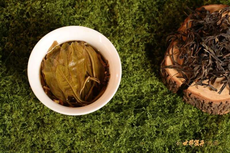 六大茶山头鲜 六寨：古树头鲜，香融六寨！