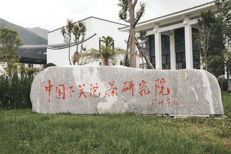 下关沱茶新获重大发明专利！γ- 氨基丁酸，发现健康生活新密码