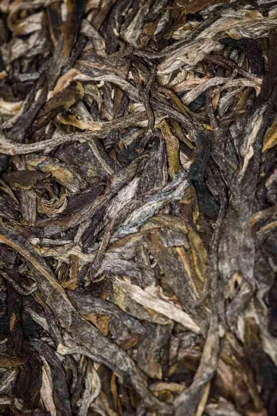 2025八角亭班章老寨腊欢·岩嫩圆茶 古乔木有机双绝，藏饮皆宜