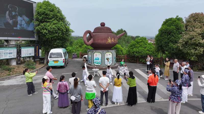 旺苍|| 打造“沉浸式茶旅”体验链