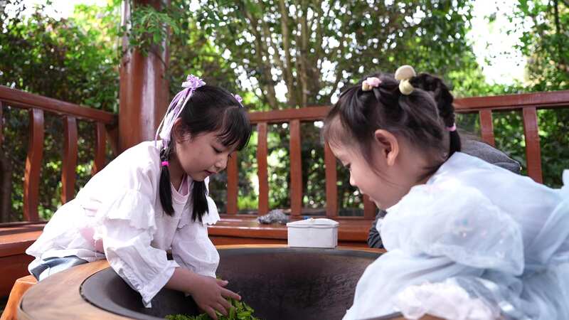 旺苍|| 打造“沉浸式茶旅”体验链