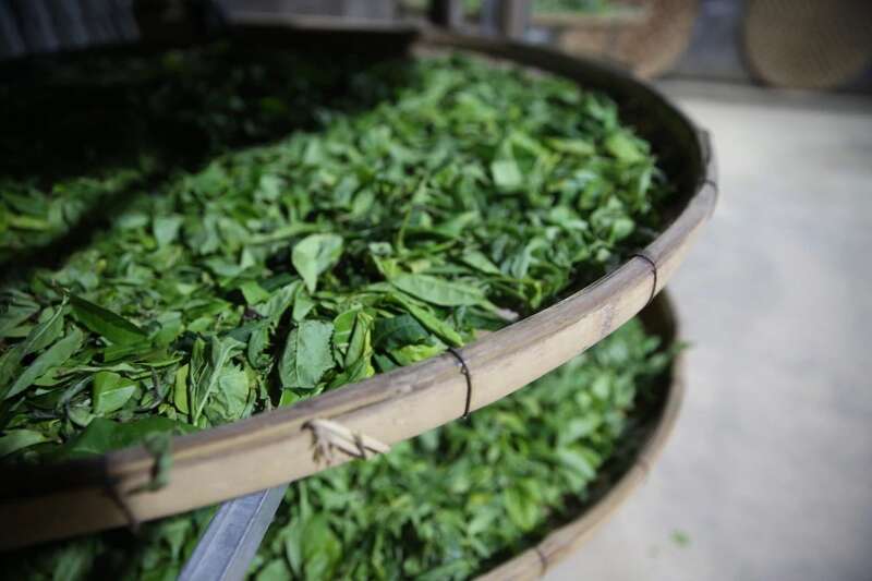 下关蜜陈易武·熟茶 匠心手作 一珠藏山韵