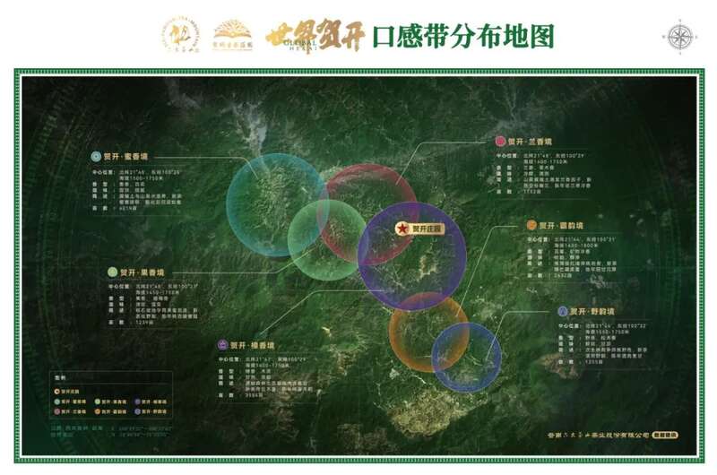 六大茶山班盆新寨：献给那些向往“未驯化之美”的茶中侠客