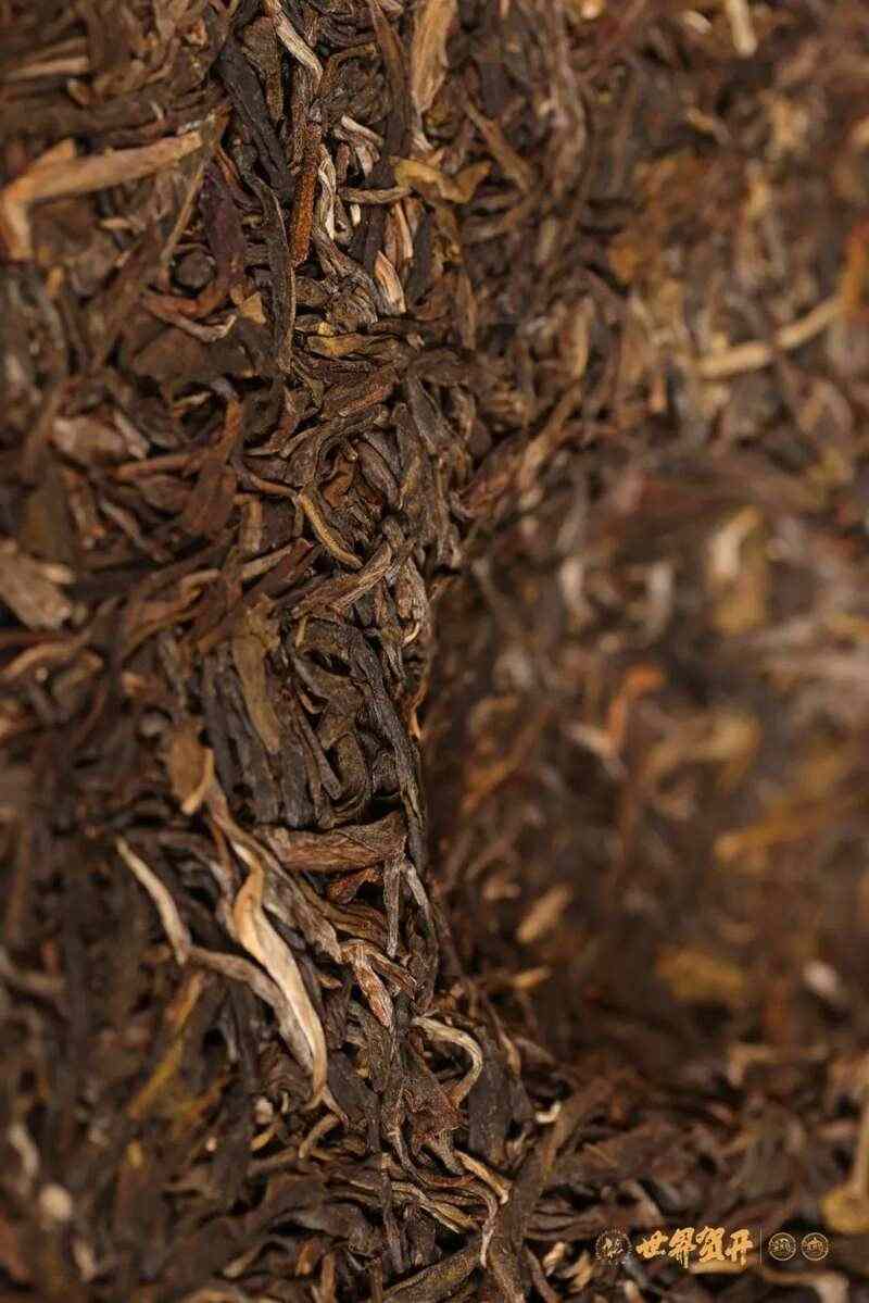 六大茶山班盆新寨：献给那些向往“未驯化之美”的茶中侠客