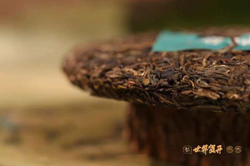 六大茶山班盆新寨：献给那些向往“未驯化之美”的茶中侠客