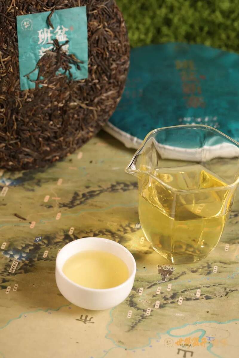 六大茶山班盆新寨：献给那些向往“未驯化之美”的茶中侠客