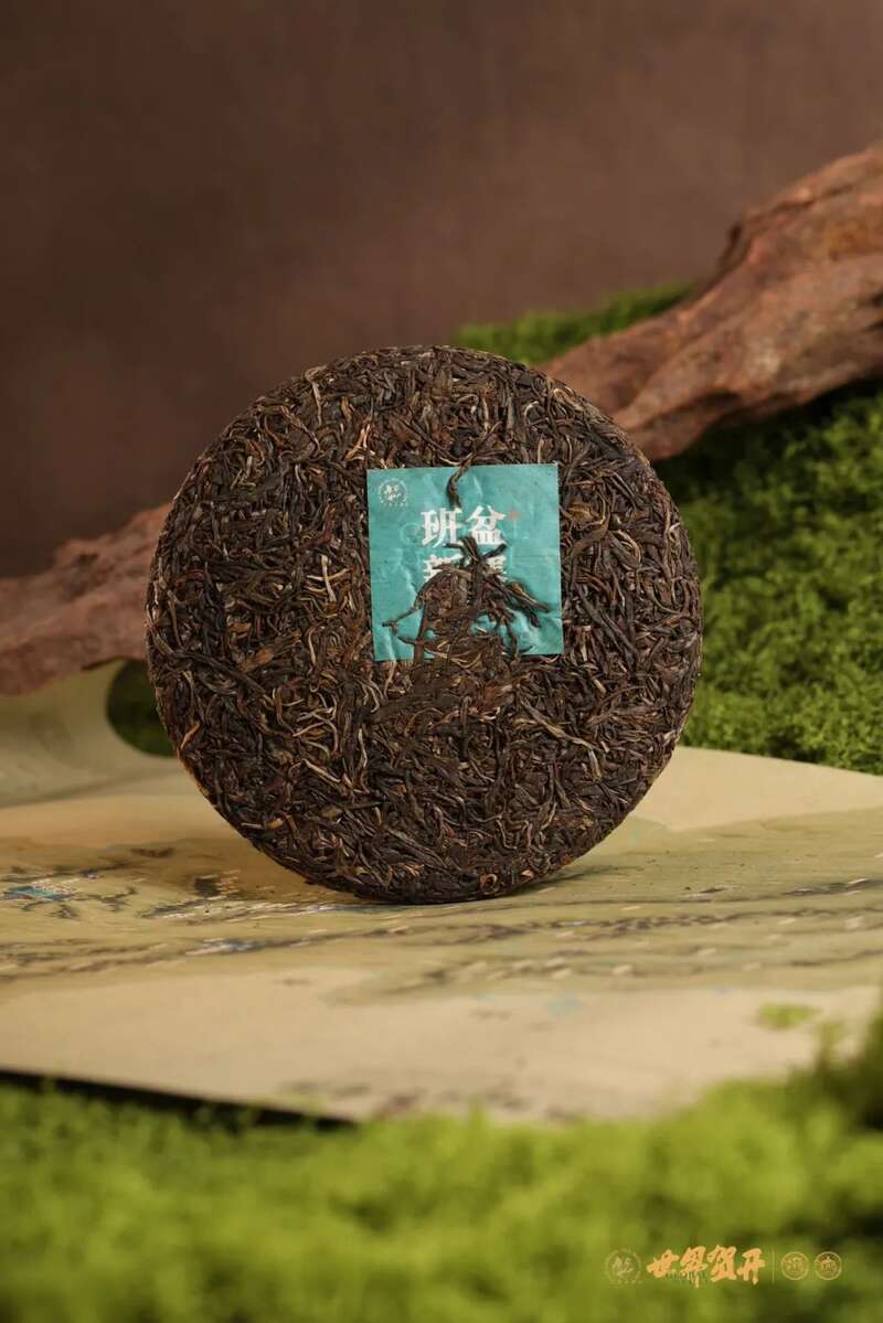 六大茶山班盆新寨：献给那些向往“未驯化之美”的茶中侠客