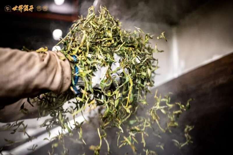 六大茶山世界贺开mini：把世界贺开泡进日常茶桌