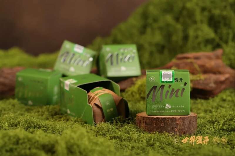 六大茶山世界贺开mini：把世界贺开泡进日常茶桌
