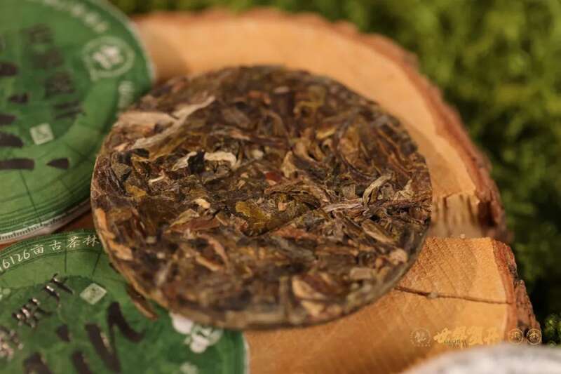 六大茶山世界贺开mini：把世界贺开泡进日常茶桌