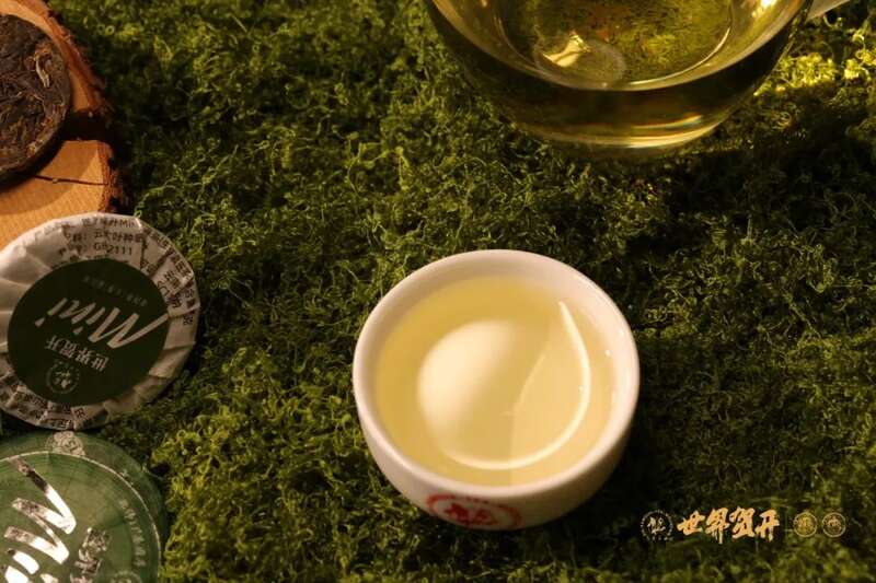 六大茶山世界贺开mini：把世界贺开泡进日常茶桌