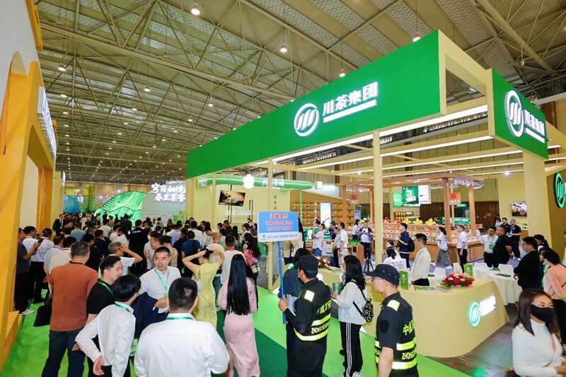 第十四届四川国际茶博会成功举办！吸引8.79万人次参观，总成交24.6亿元
