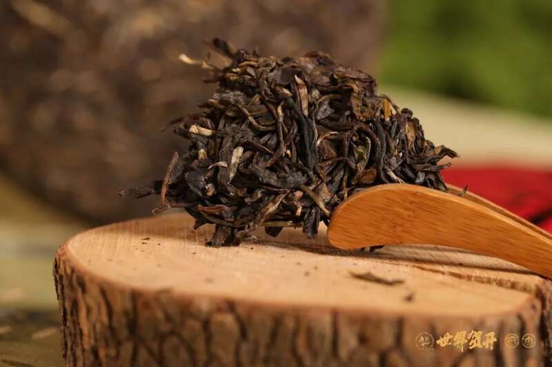 六大茶山在野 班章美人梅：落梅不是无情物，化作春泥更护茶