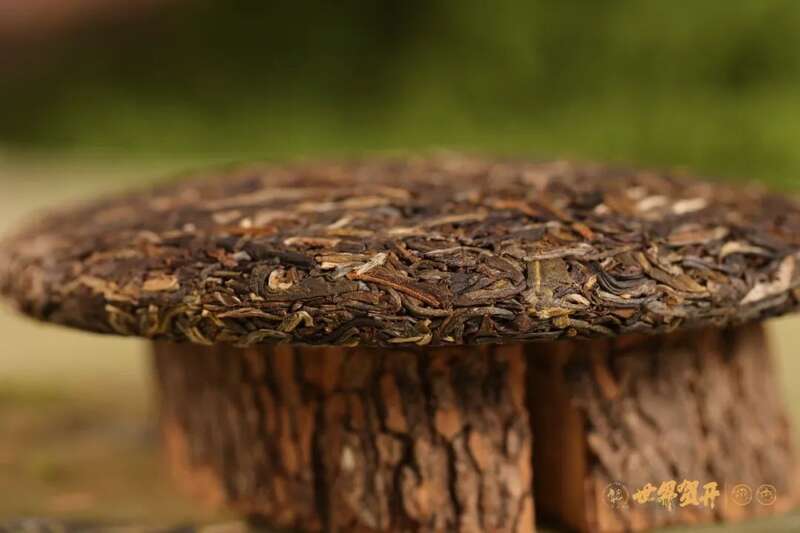 六大茶山在野 班章美人梅：落梅不是无情物，化作春泥更护茶