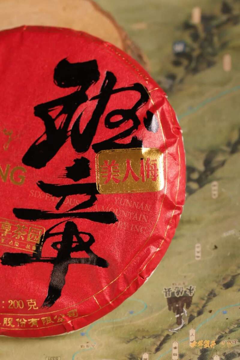 六大茶山在野 班章美人梅：落梅不是无情物，化作春泥更护茶