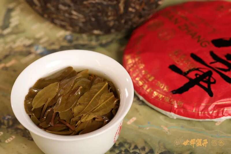 六大茶山在野 班章美人梅：落梅不是无情物，化作春泥更护茶