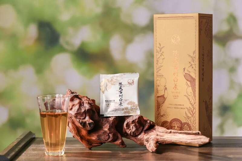 2024下关沱茶 陈皮古树白茶 古树白茶与陈皮