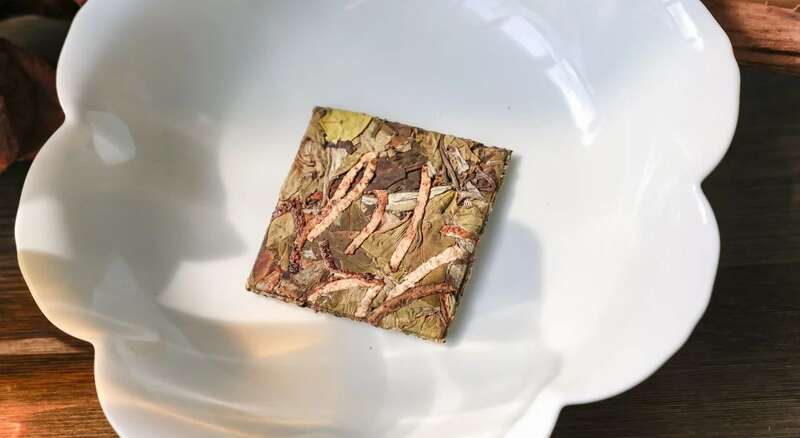 2024下关沱茶 陈皮古树白茶 古树白茶与陈皮