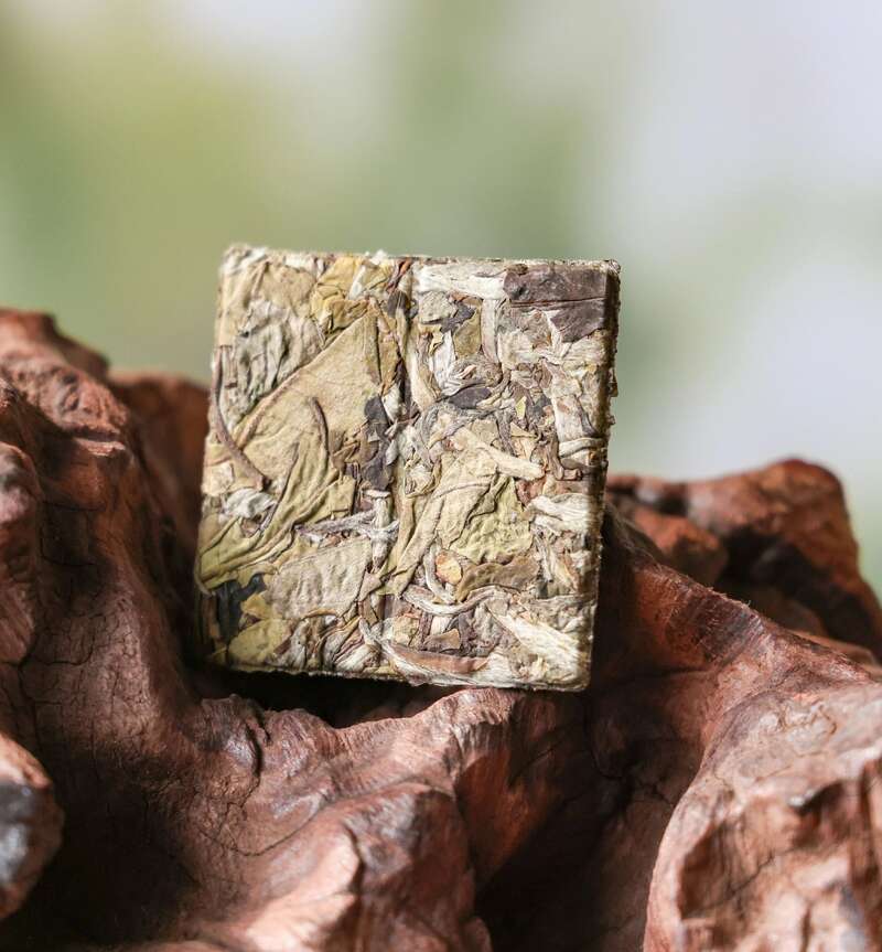 2024下关沱茶 陈皮古树白茶 古树白茶与陈皮