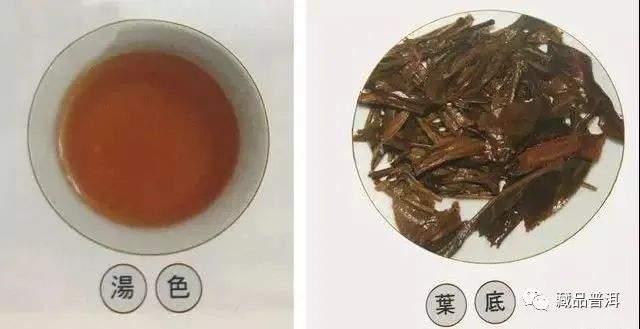 96真淳雅号的诞生历程，易武茶复兴时代的先锋之作