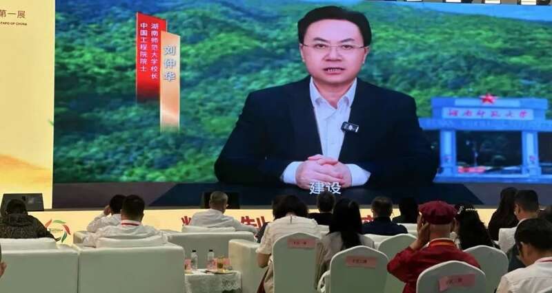 茗饮之事 从茶树开始 四川国际茶博会小记