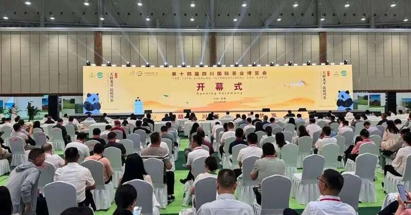 茗饮之事 从茶树开始 四川国际茶博会小记