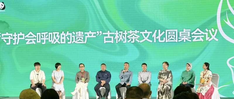 茗饮之事 从茶树开始 四川国际茶博会小记