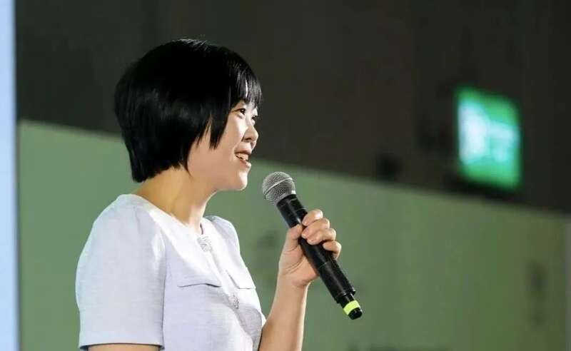 茗饮之事 从茶树开始 四川国际茶博会小记