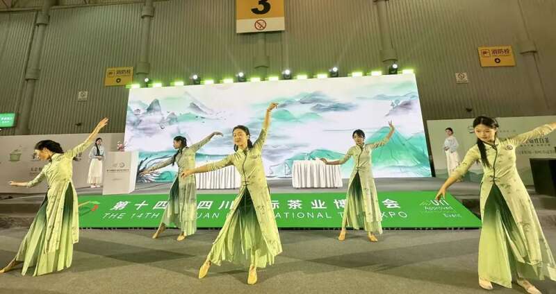 茗饮之事 从茶树开始 四川国际茶博会小记