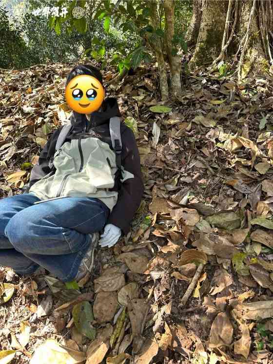 六大茶山在野 贺开·火卡：隐逸腹地巨木守护的秘境