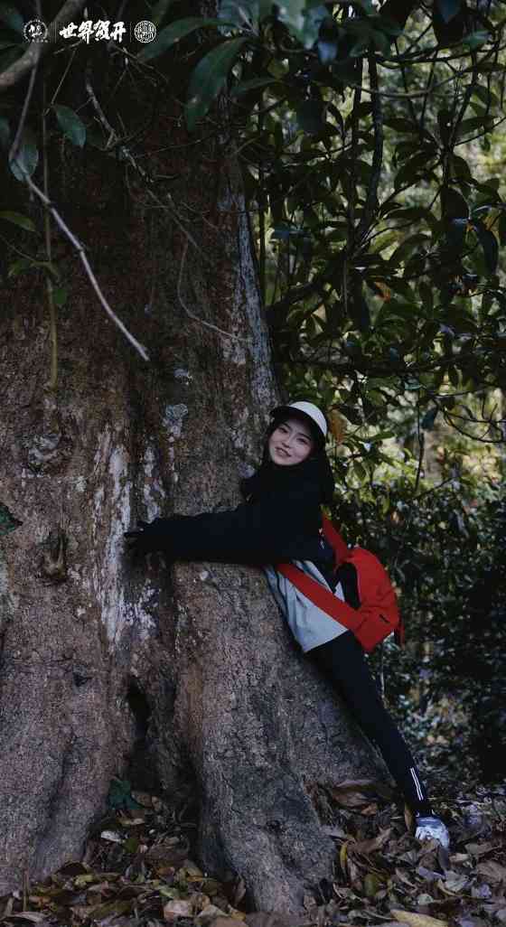 六大茶山在野 贺开·火卡：隐逸腹地巨木守护的秘境