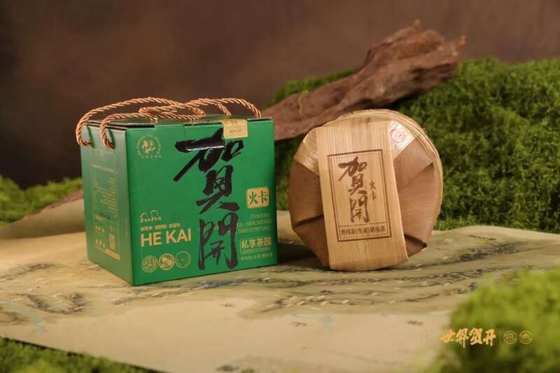 六大茶山在野 贺开·火卡：隐逸腹地巨木守护的秘境