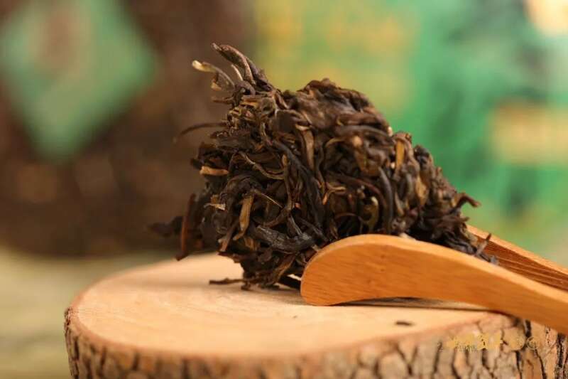 六大茶山在野 贺开·火卡：隐逸腹地巨木守护的秘境