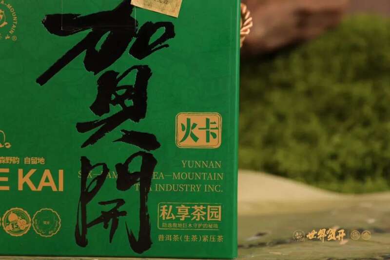 六大茶山在野 贺开·火卡：隐逸腹地巨木守护的秘境